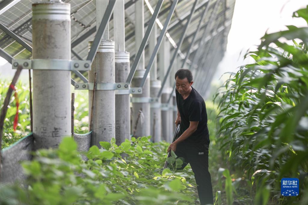 大满贯游戏下载